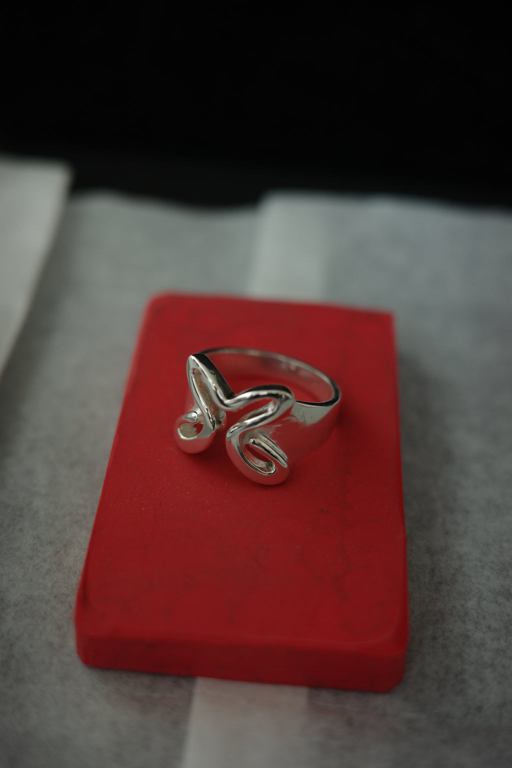 ANILLO SOMOS