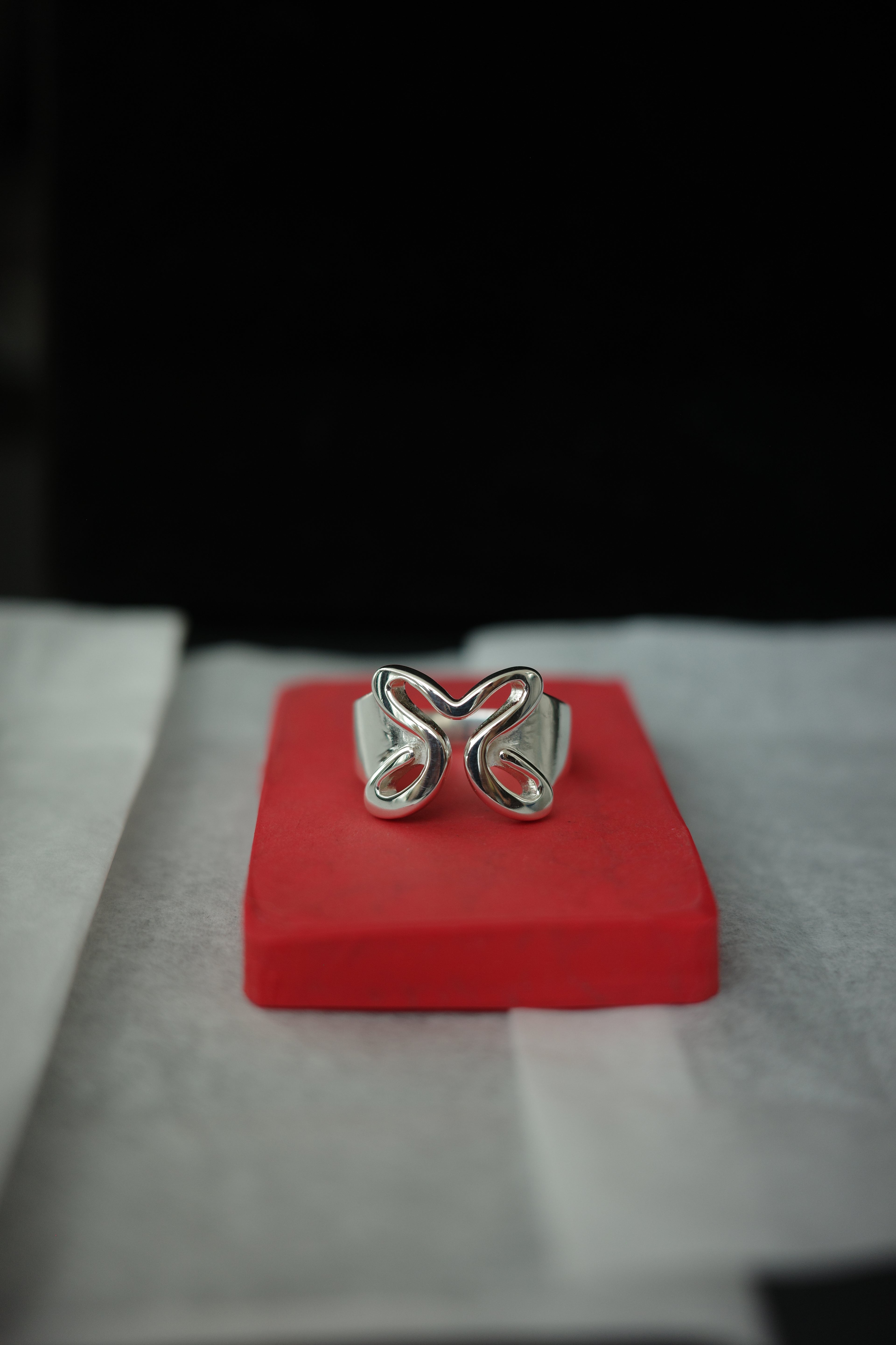 ANILLO SOMOS