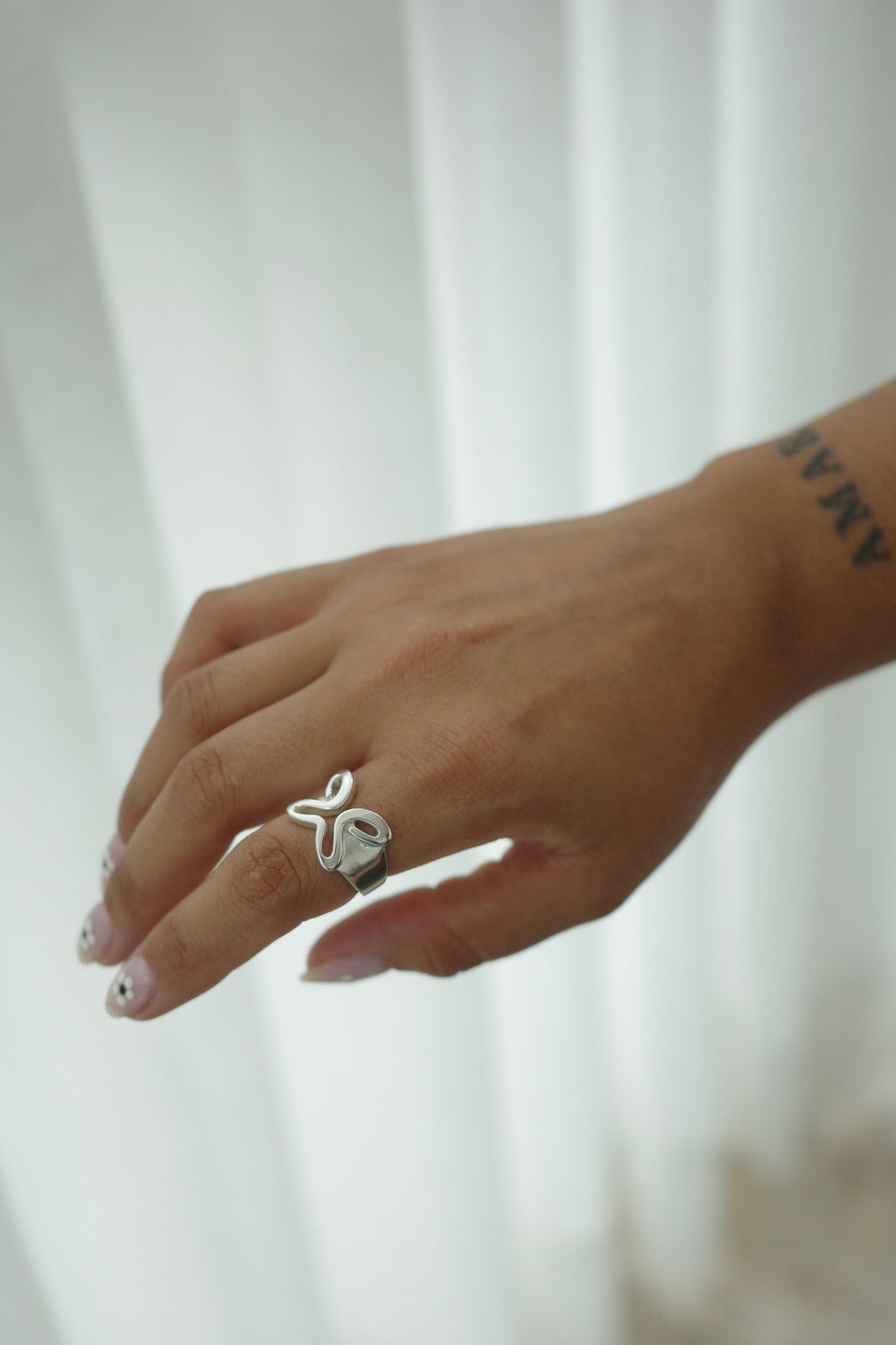 ANILLO SOMOS