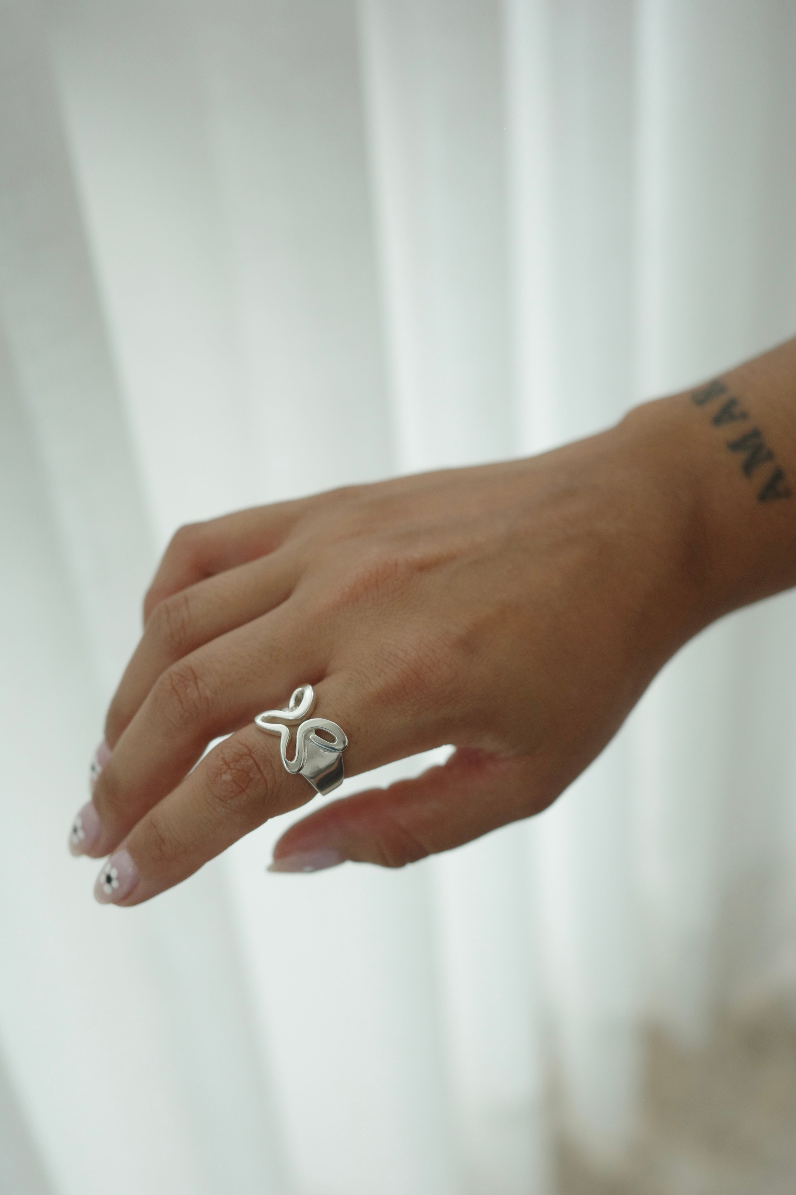 ANILLO SOMOS